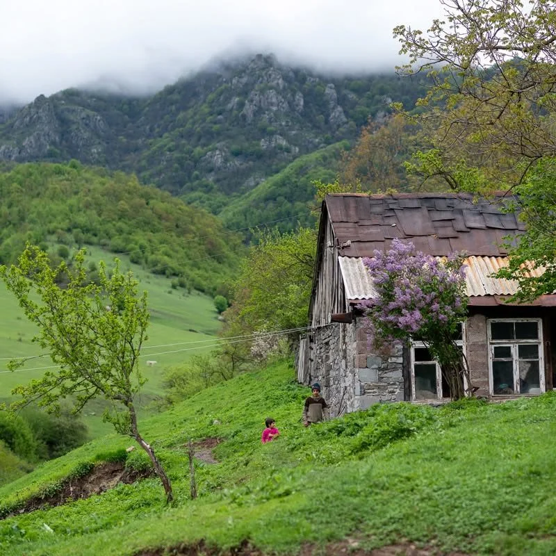 Dsegh - Qarinj - Tumanyan