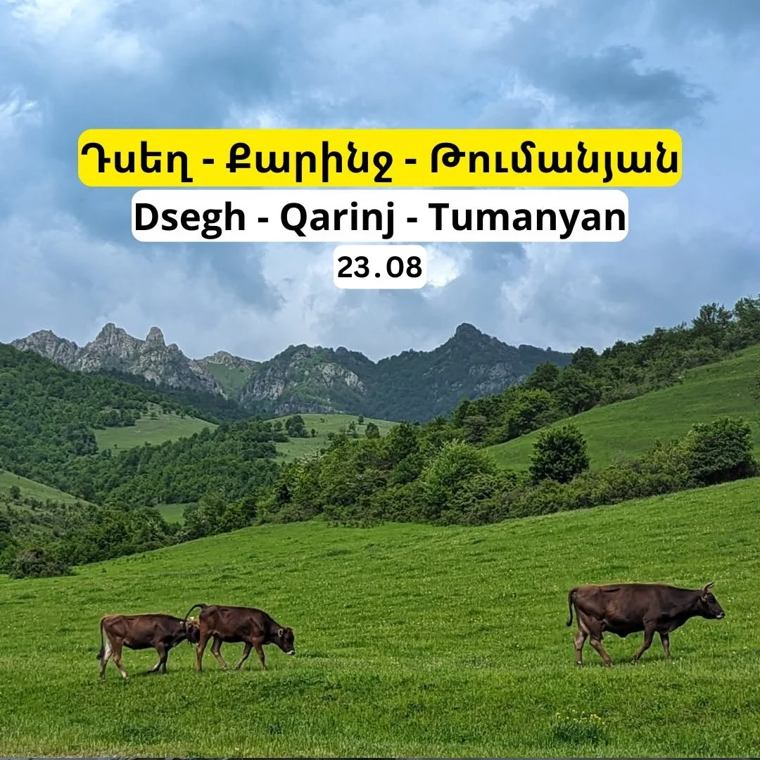 Dsegh - Qarinj - Tumanyan