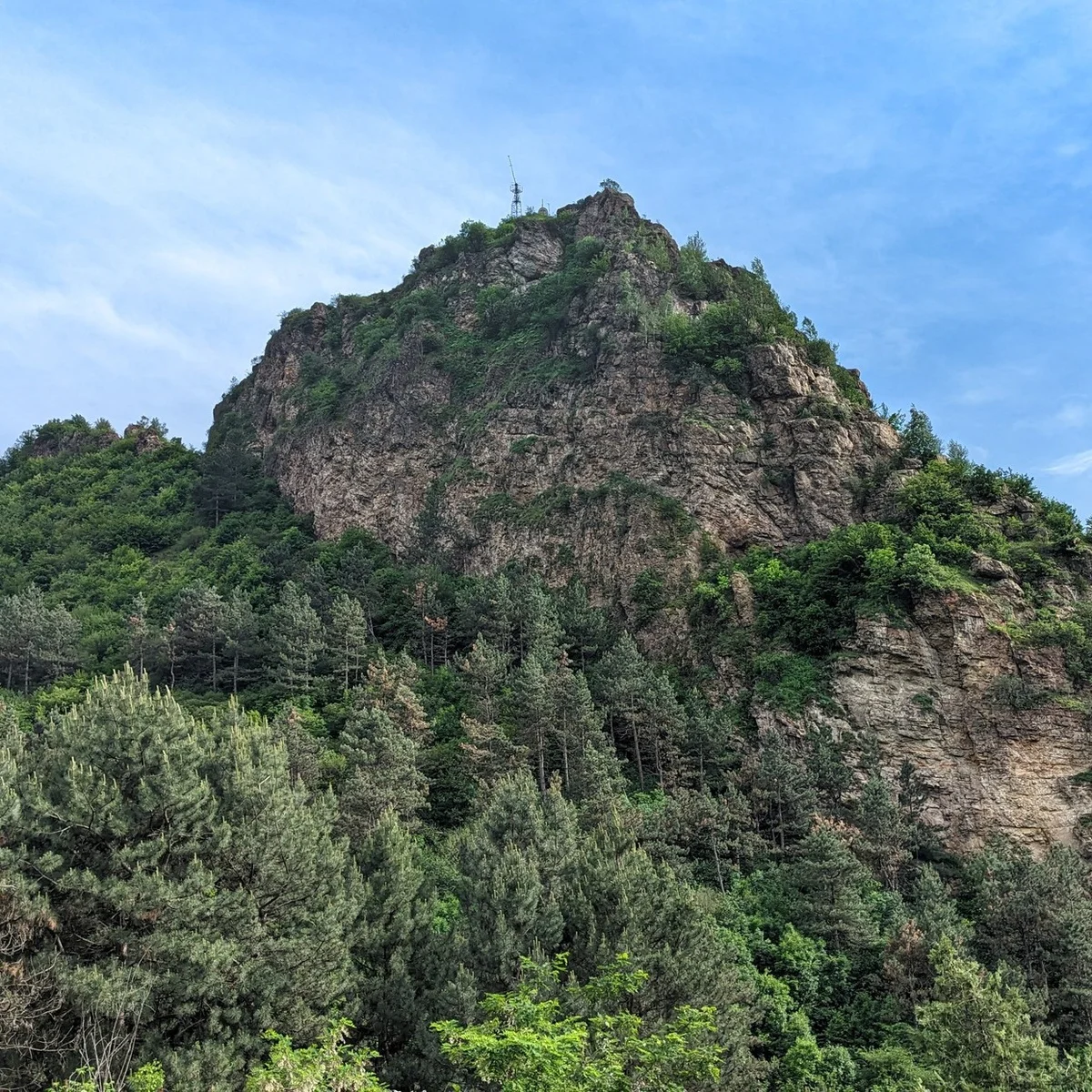 Dsegh - Qarinj - Tumanyan