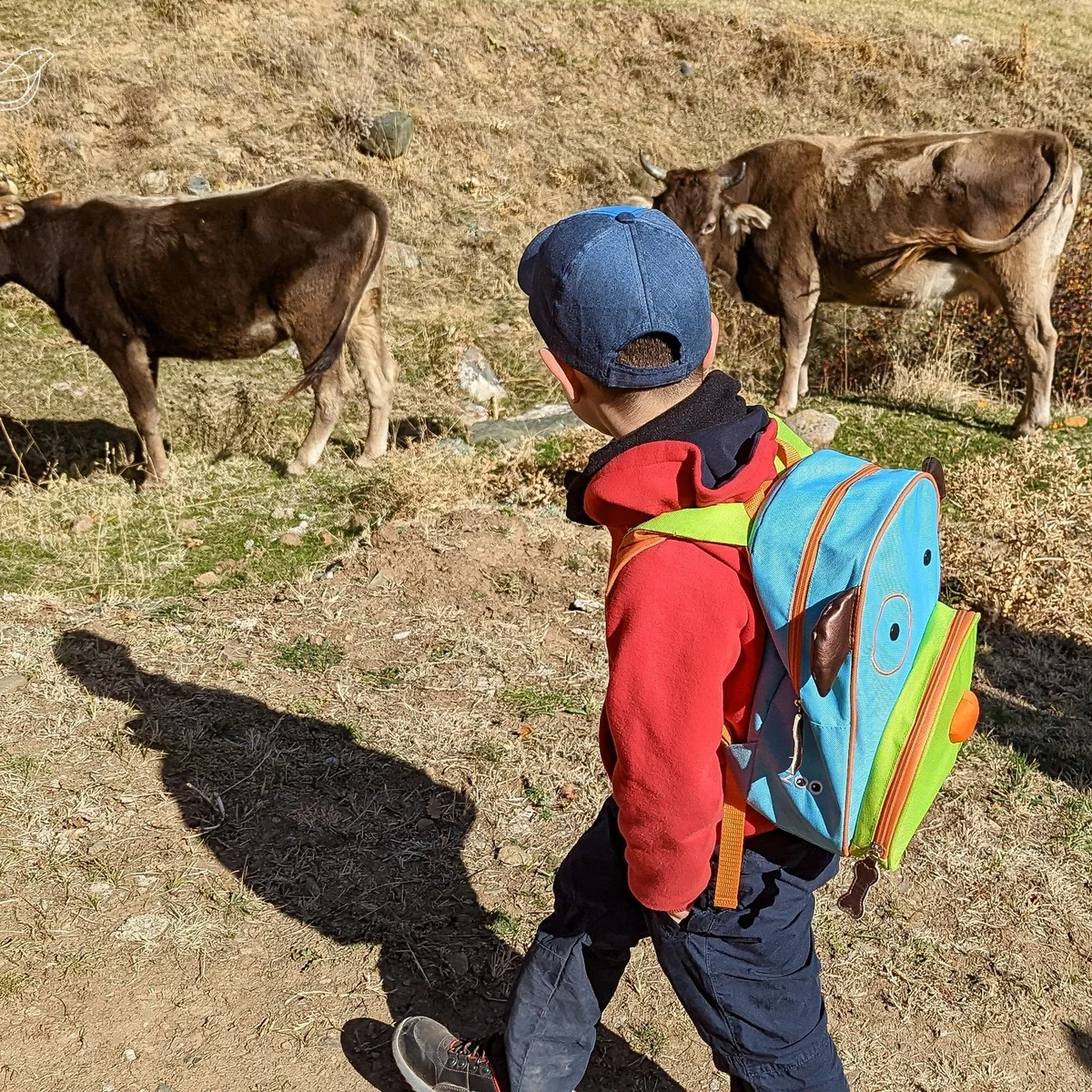 Kids Hike to Arzakan-Meghradzor Reserve