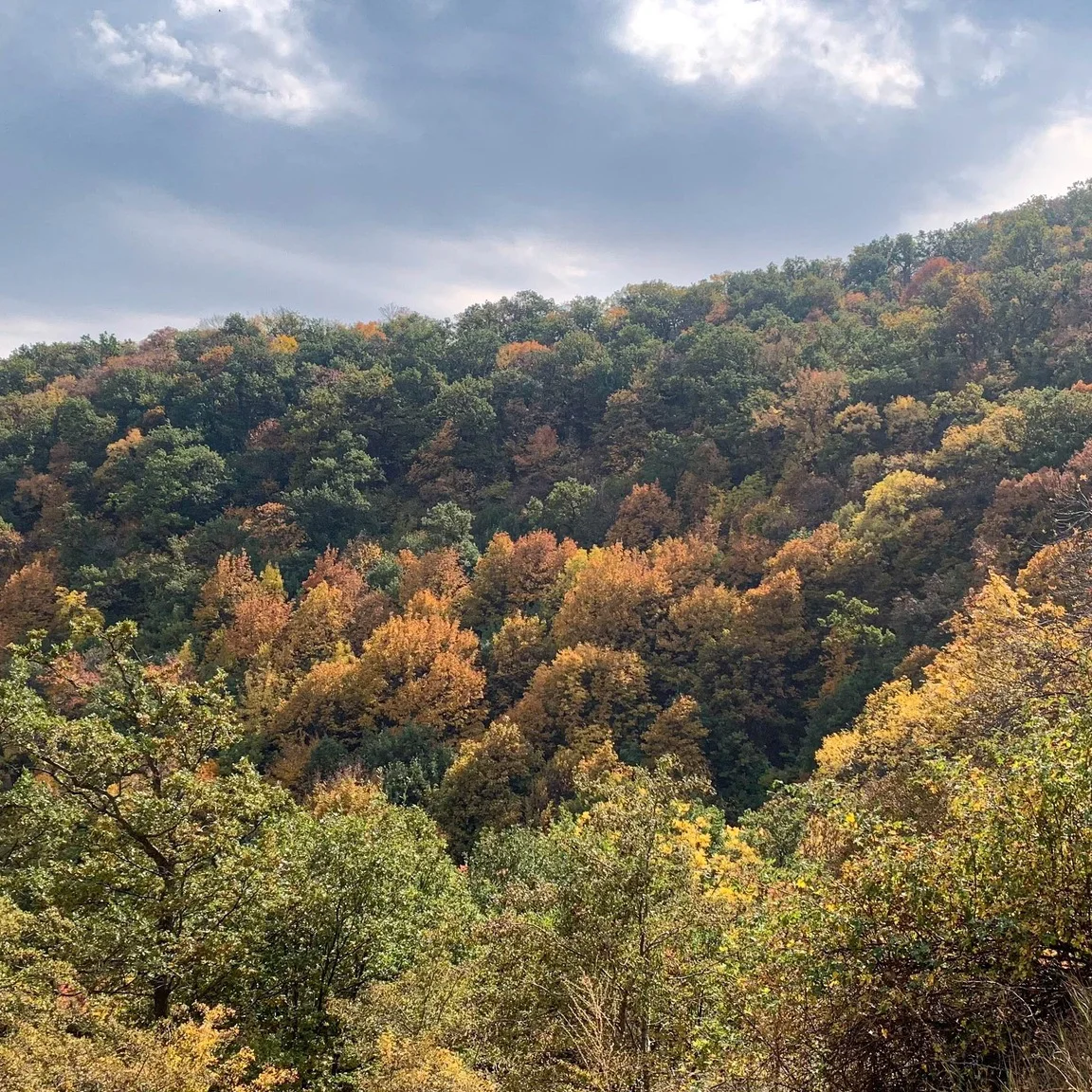 Kids Hike to Arzakan-Meghradzor Reserve