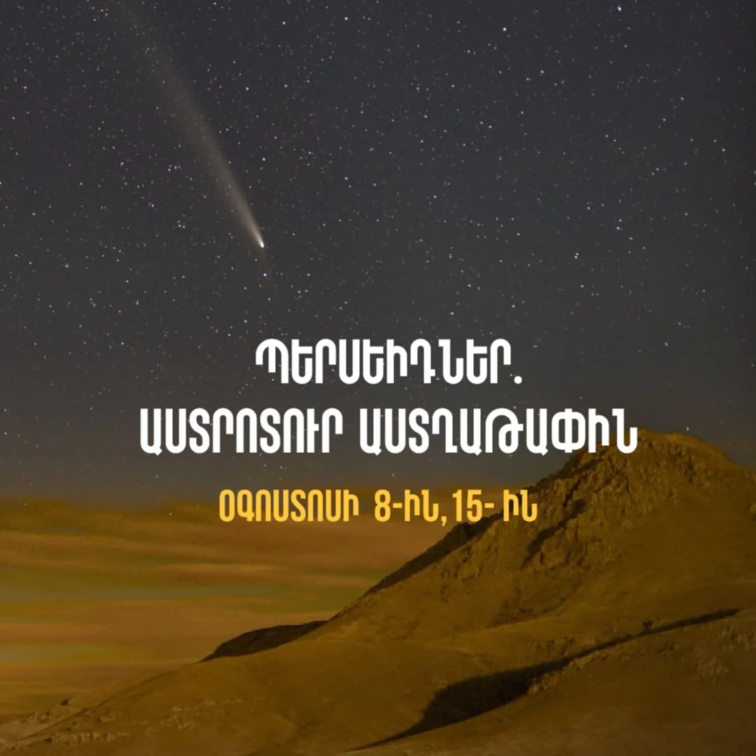 Perseid Meteor Shower