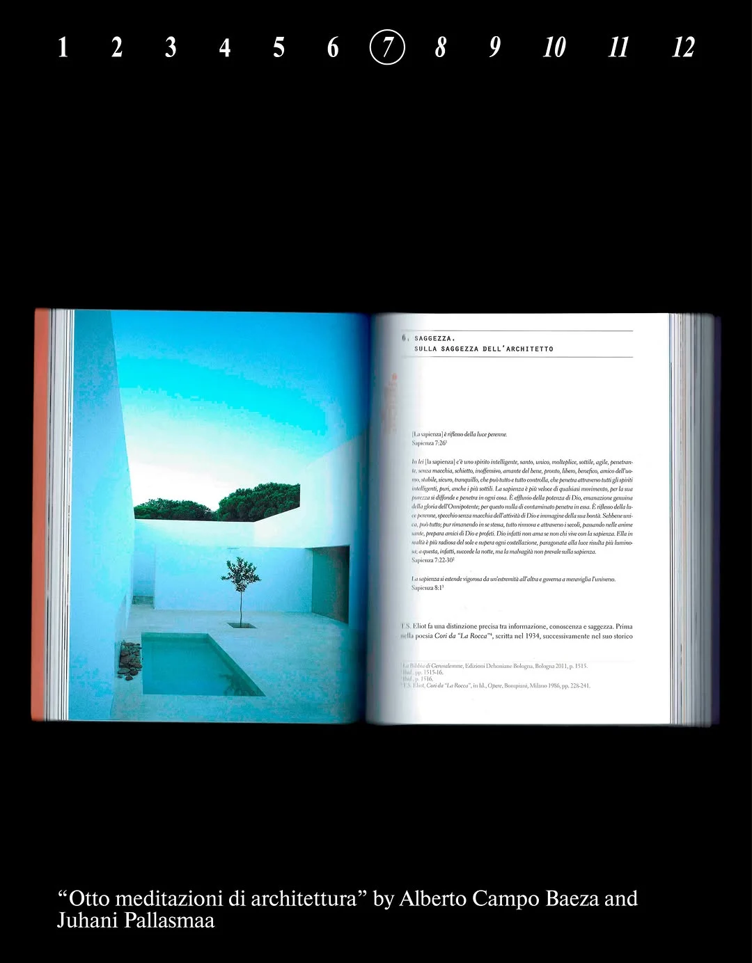 Extensions and/or Parasites