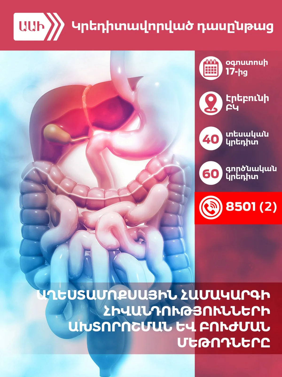 Diagnosis and Treatment of Gastrointestinal Diseases