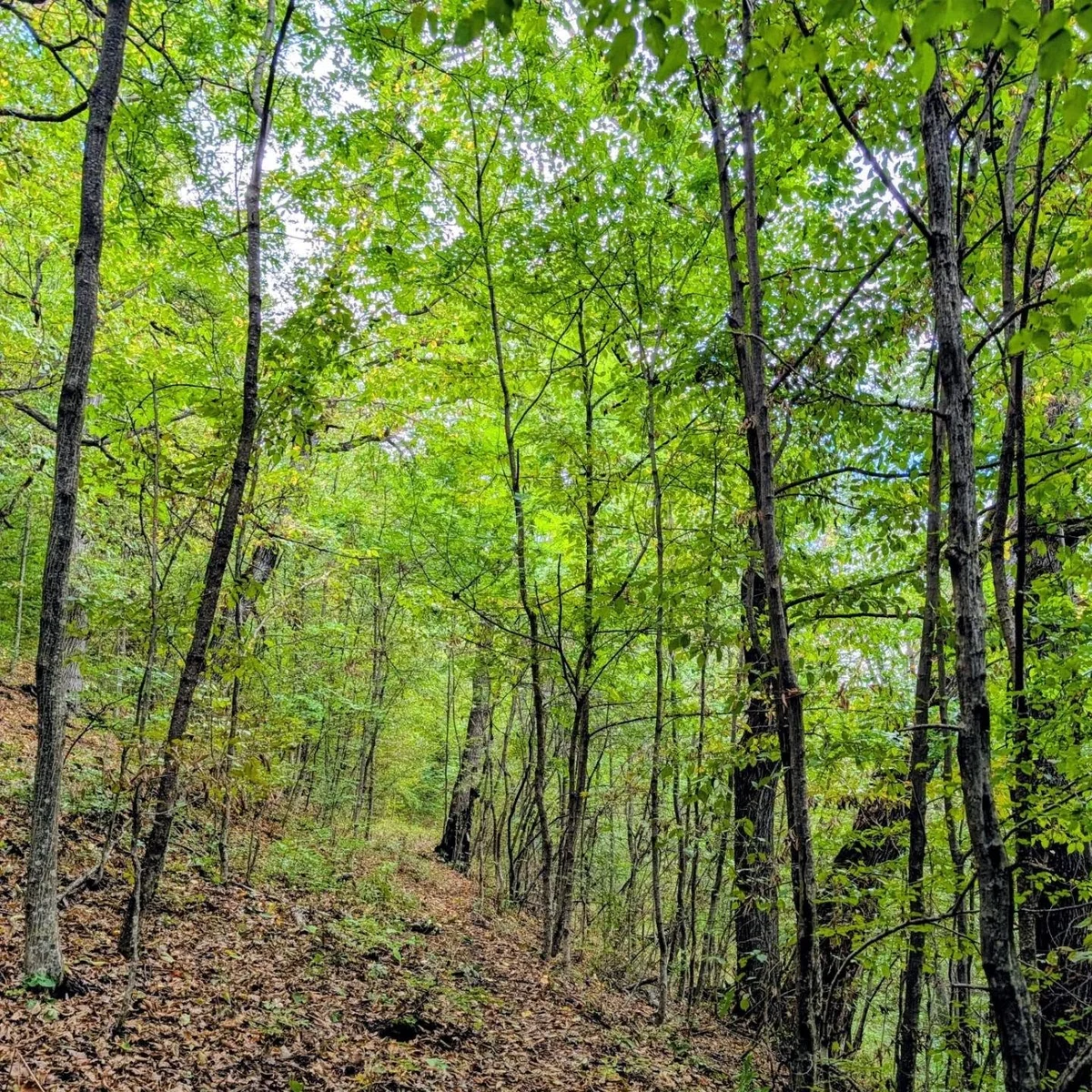 Hiking Around Khachardzan