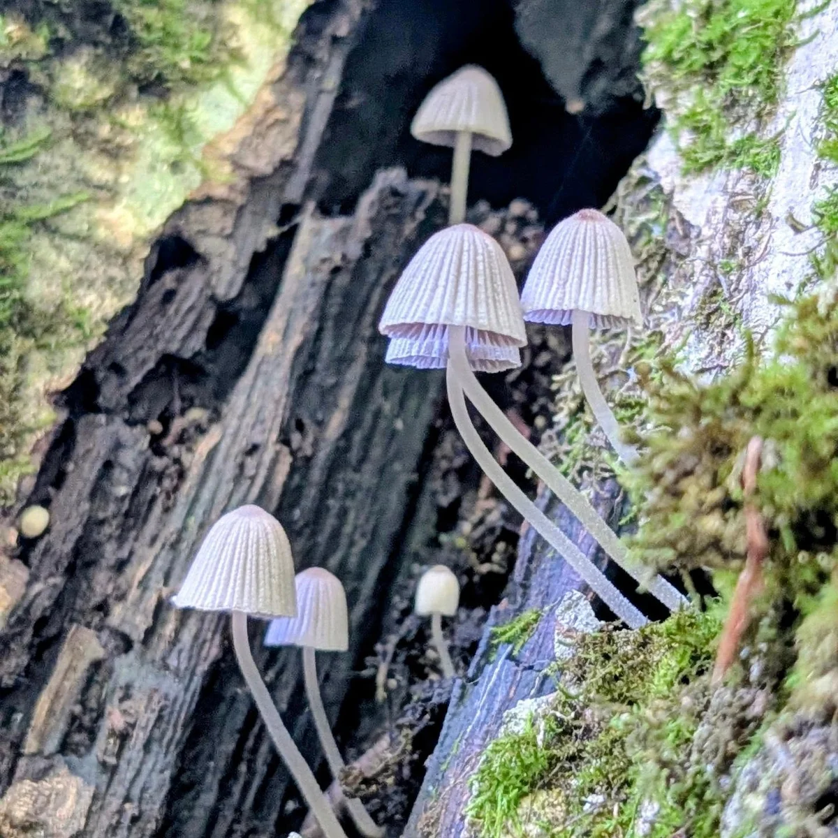 Hiking Around Khachardzan