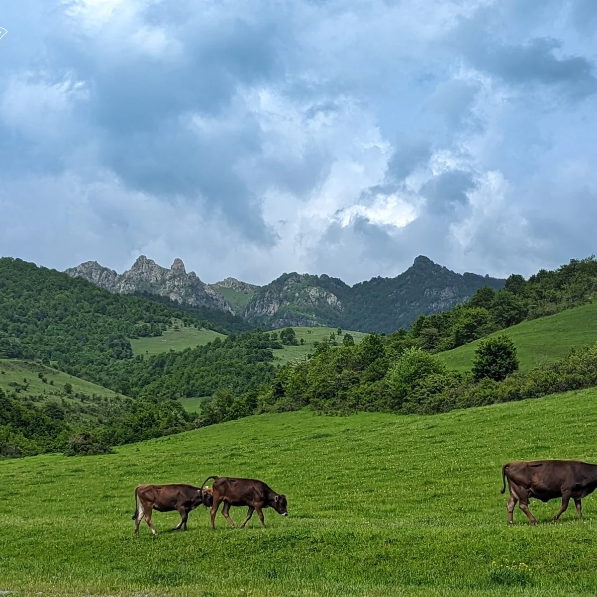 Koshaberd Fortress and Madan Greek Village