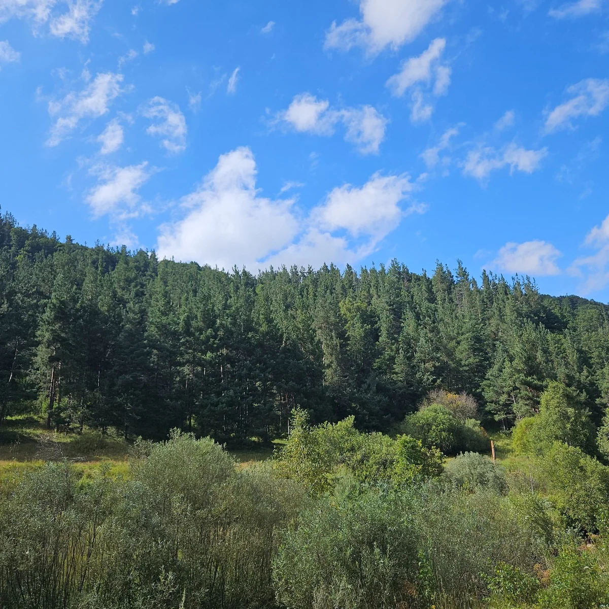Kids Hike to Hanqavan Waterfall and Marmarik Reservoir