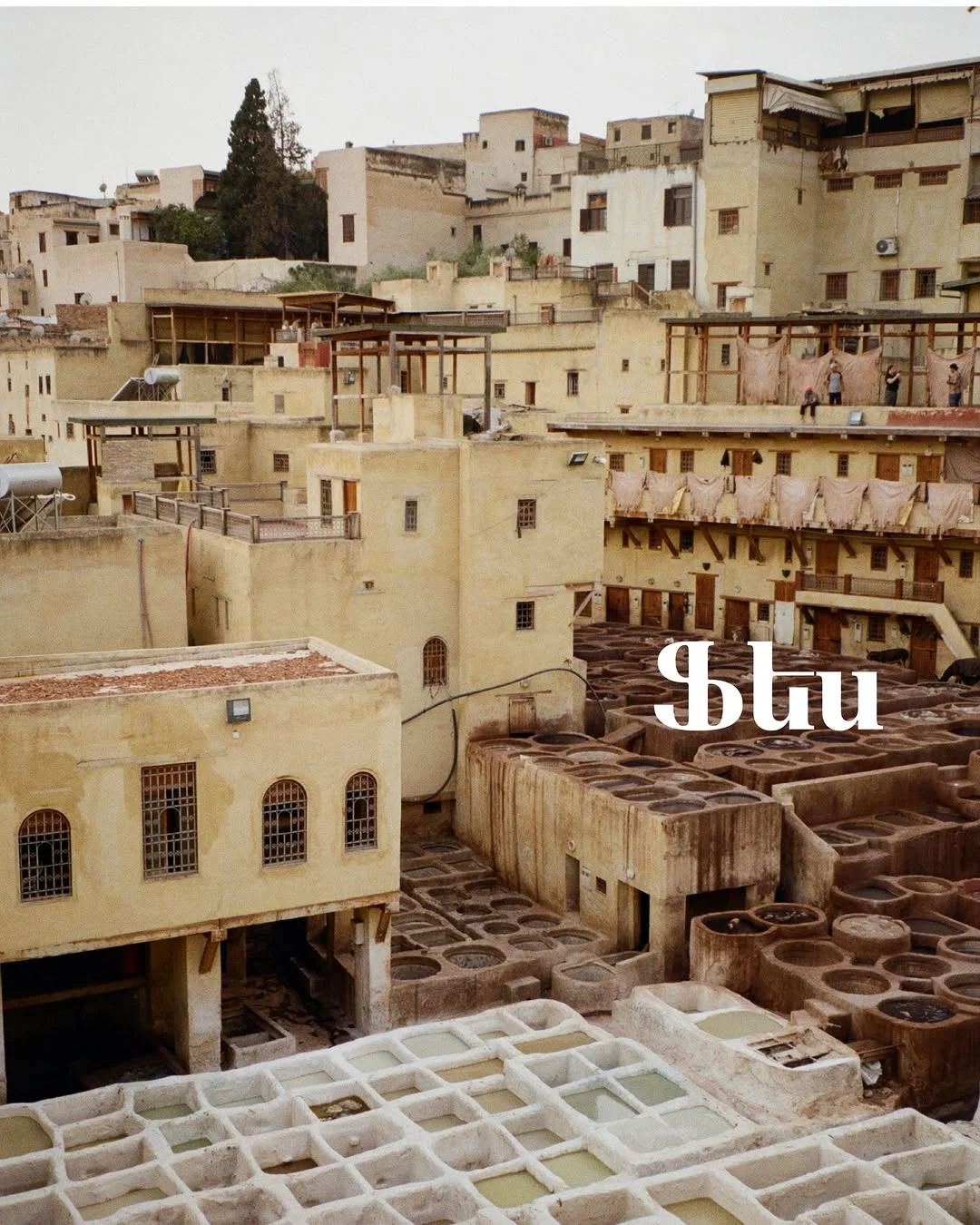 Discover Morocco