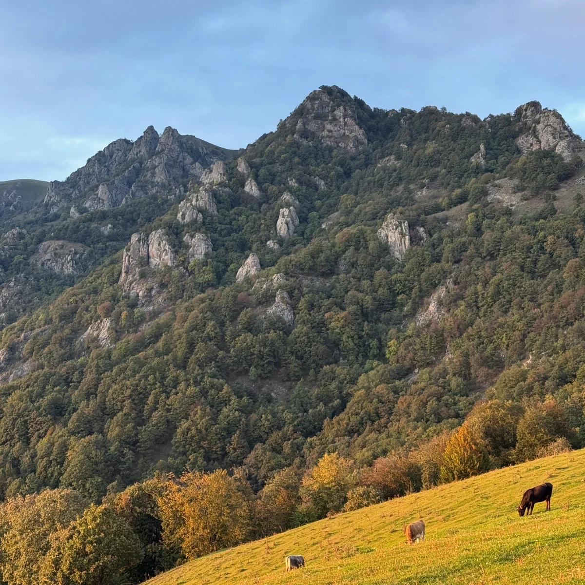 Hike to Mount Yeghnakhaghats