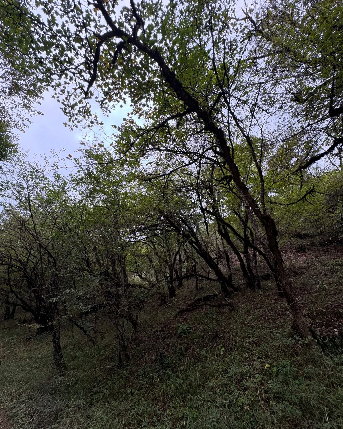 Hike to Deghdznut Monastery & Samson Bridge