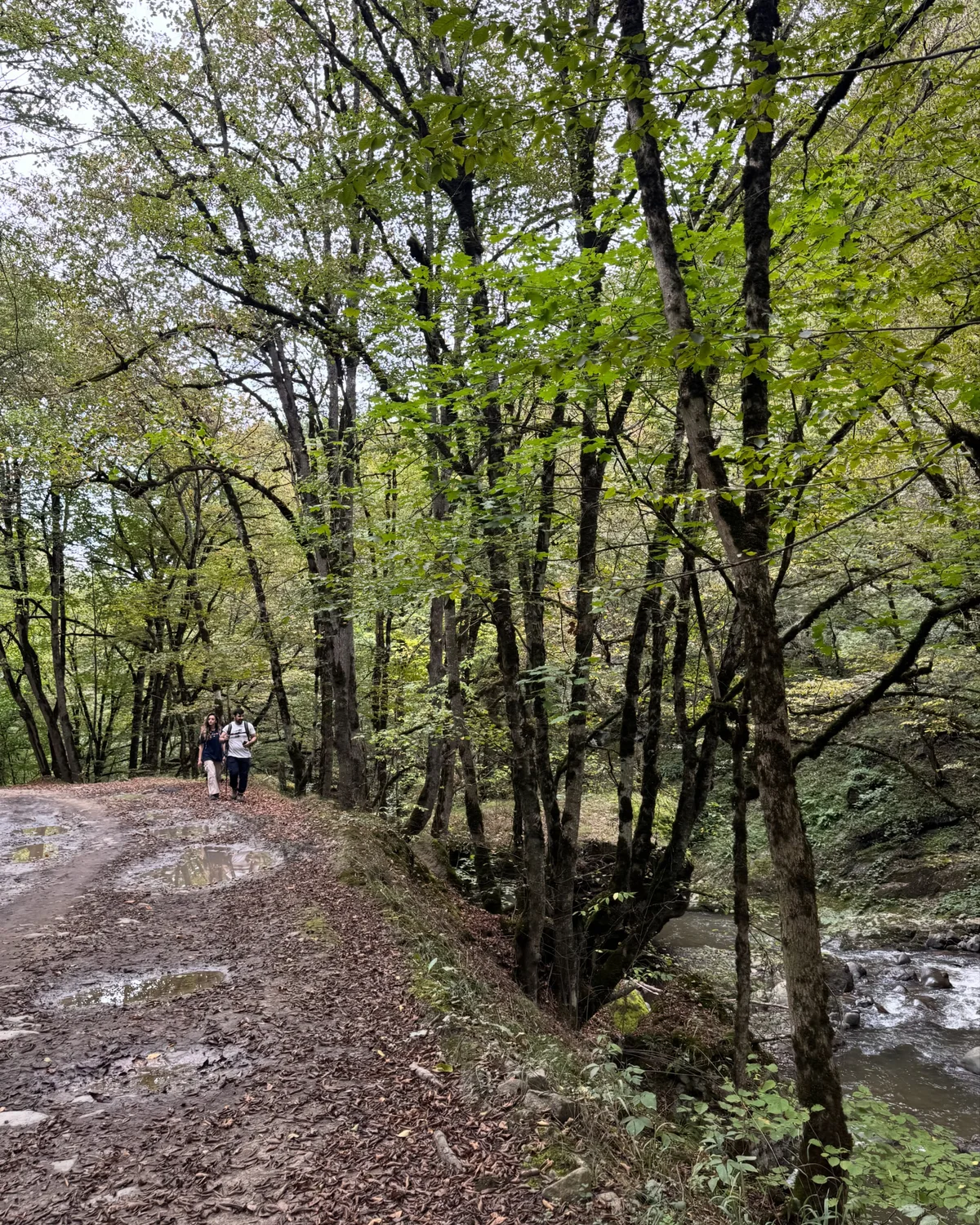 Hike to Deghdznut Monastery & Samson Bridge