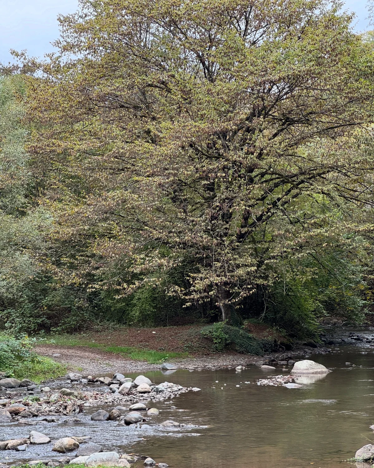 Hike to Deghdznut Monastery & Samson Bridge