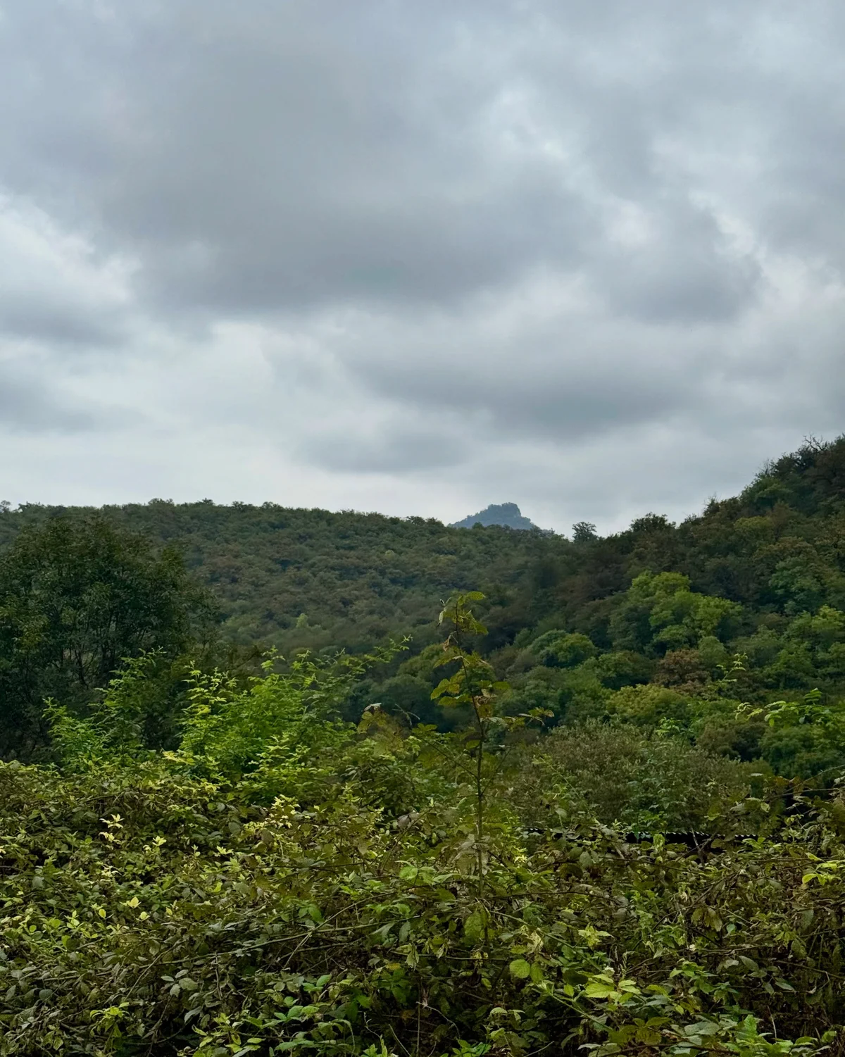 Hike to Deghdznut Monastery & Samson Bridge