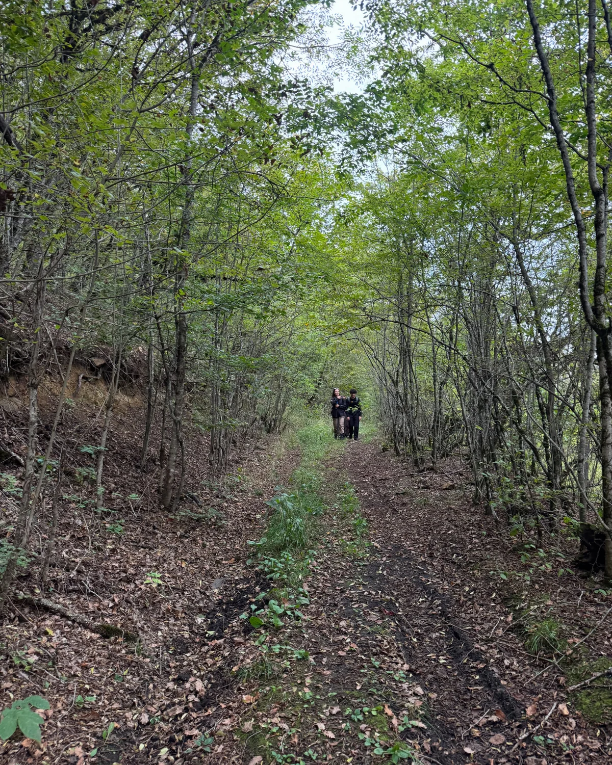 Hike to Deghdznut Monastery & Samson Bridge