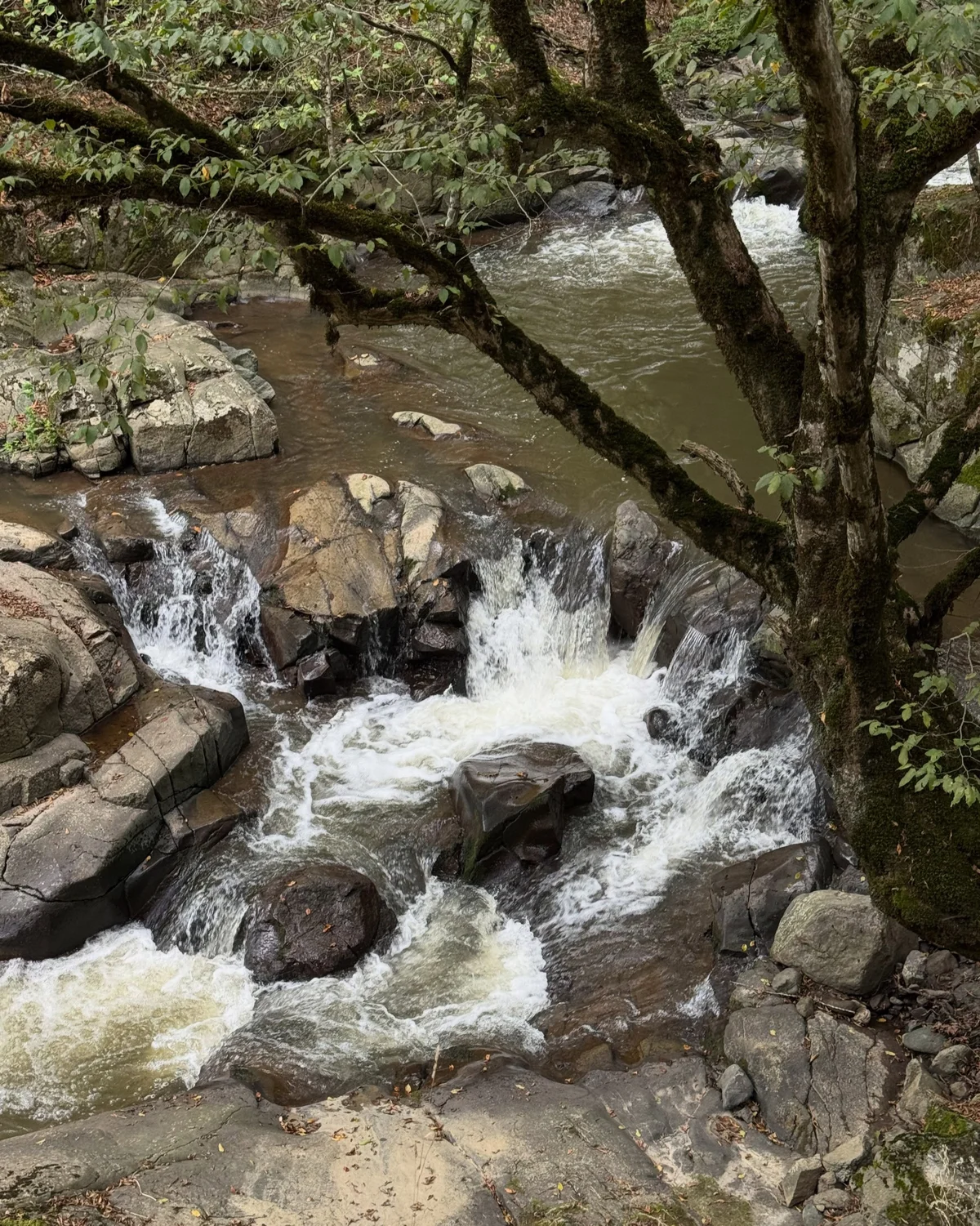 Hike to Deghdznut Monastery & Samson Bridge