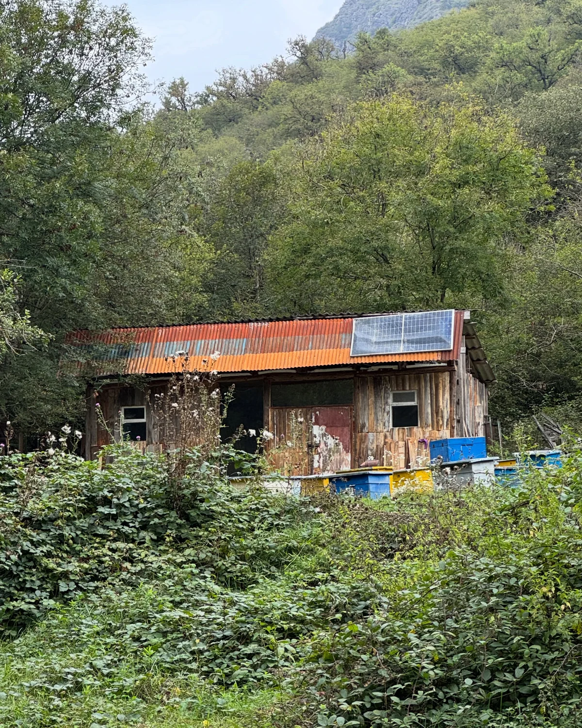 Hike to Deghdznut Monastery & Samson Bridge