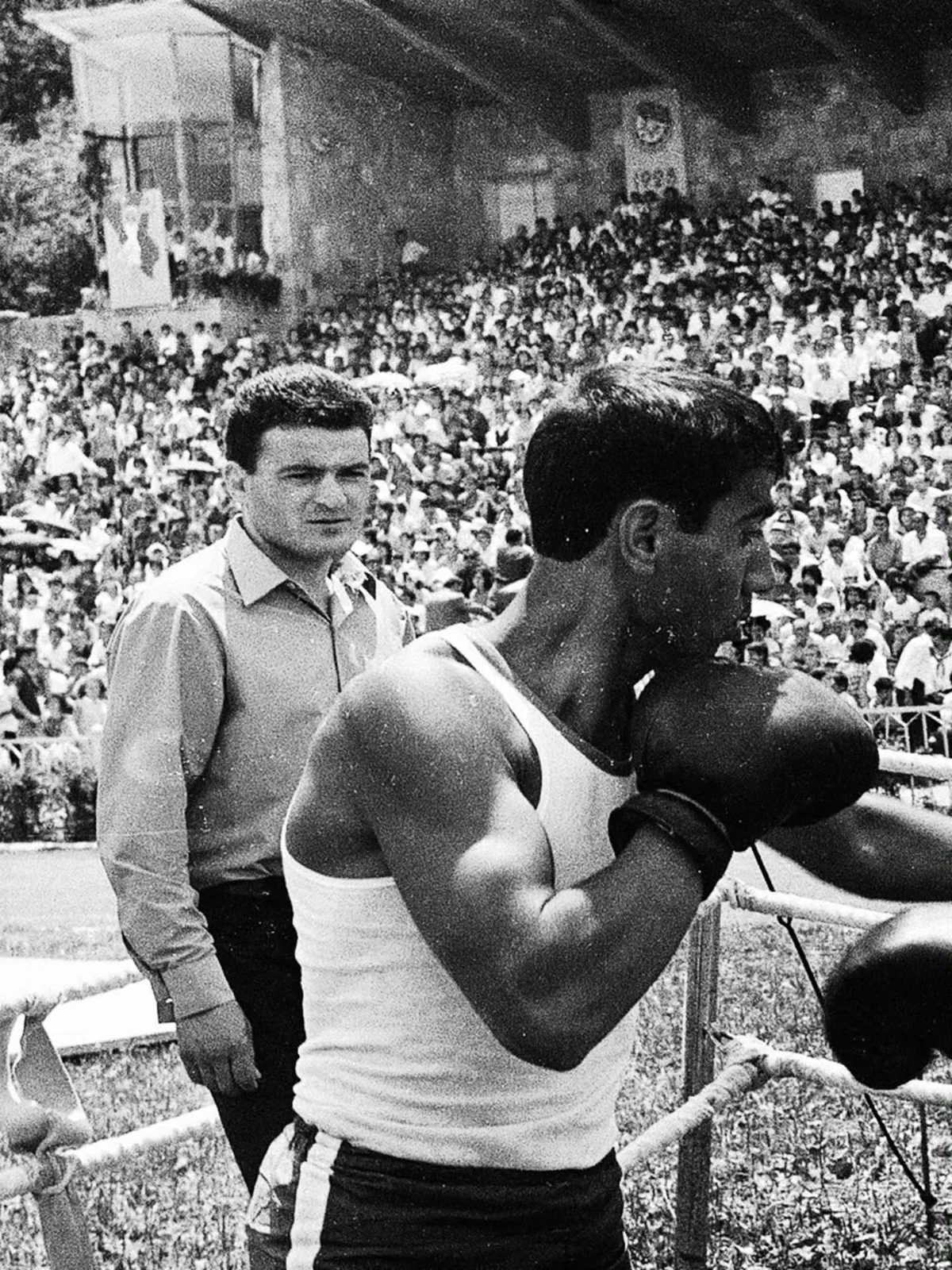 What is Sport? Baby don’t hurt me!