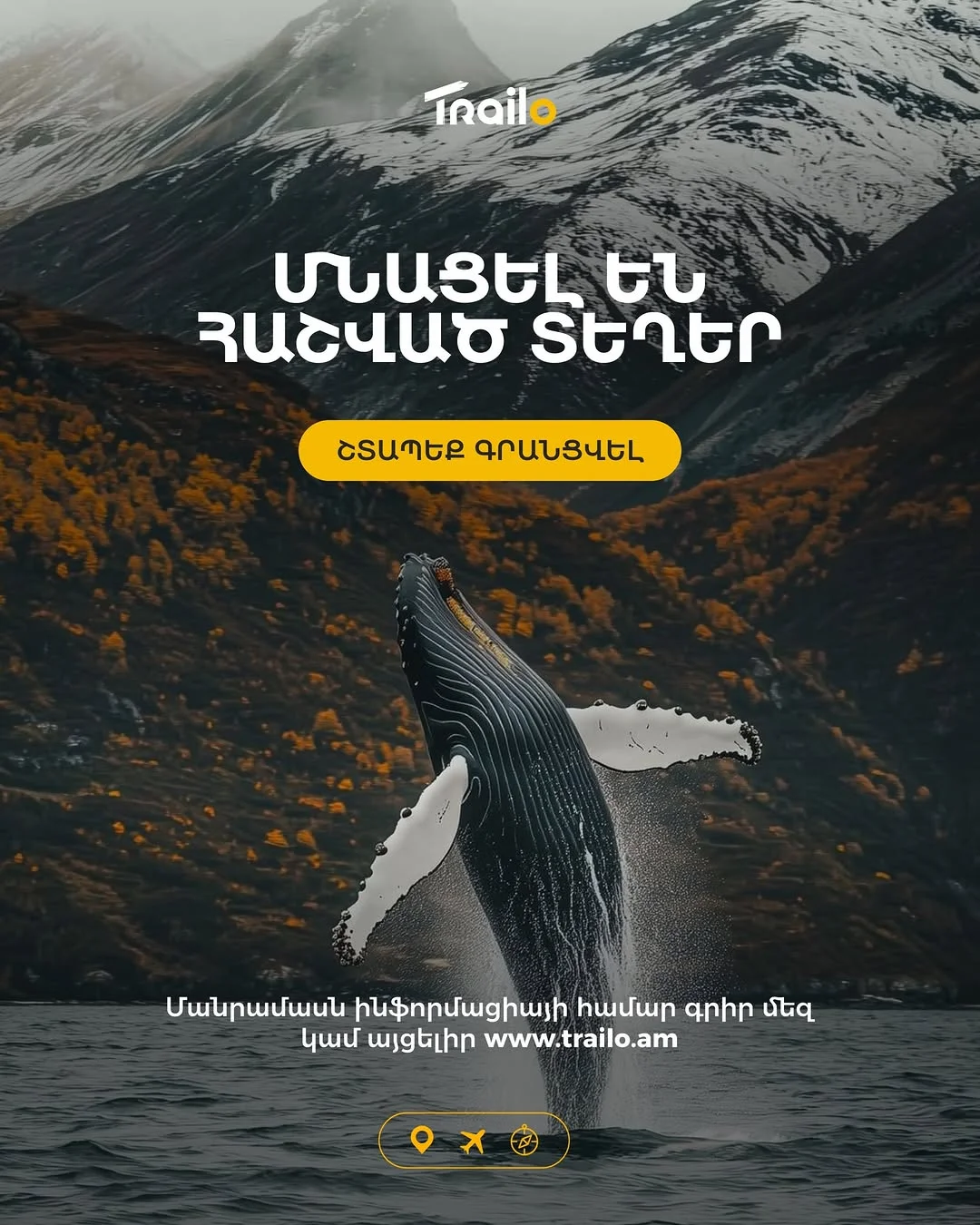 9 Days in Alaska: From Glaciers to Ocean