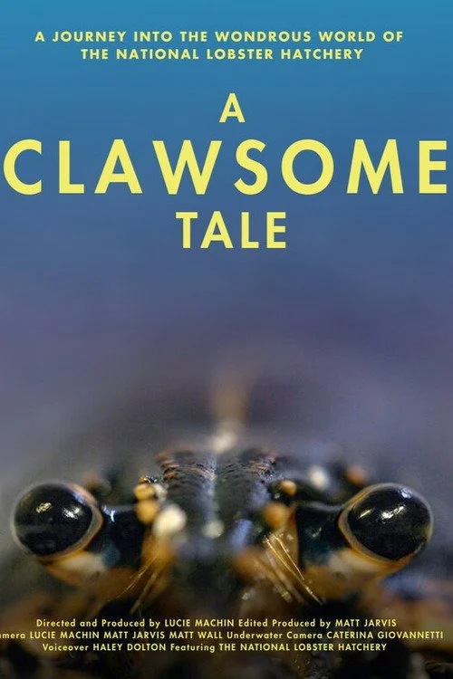 A Clawsome Tale