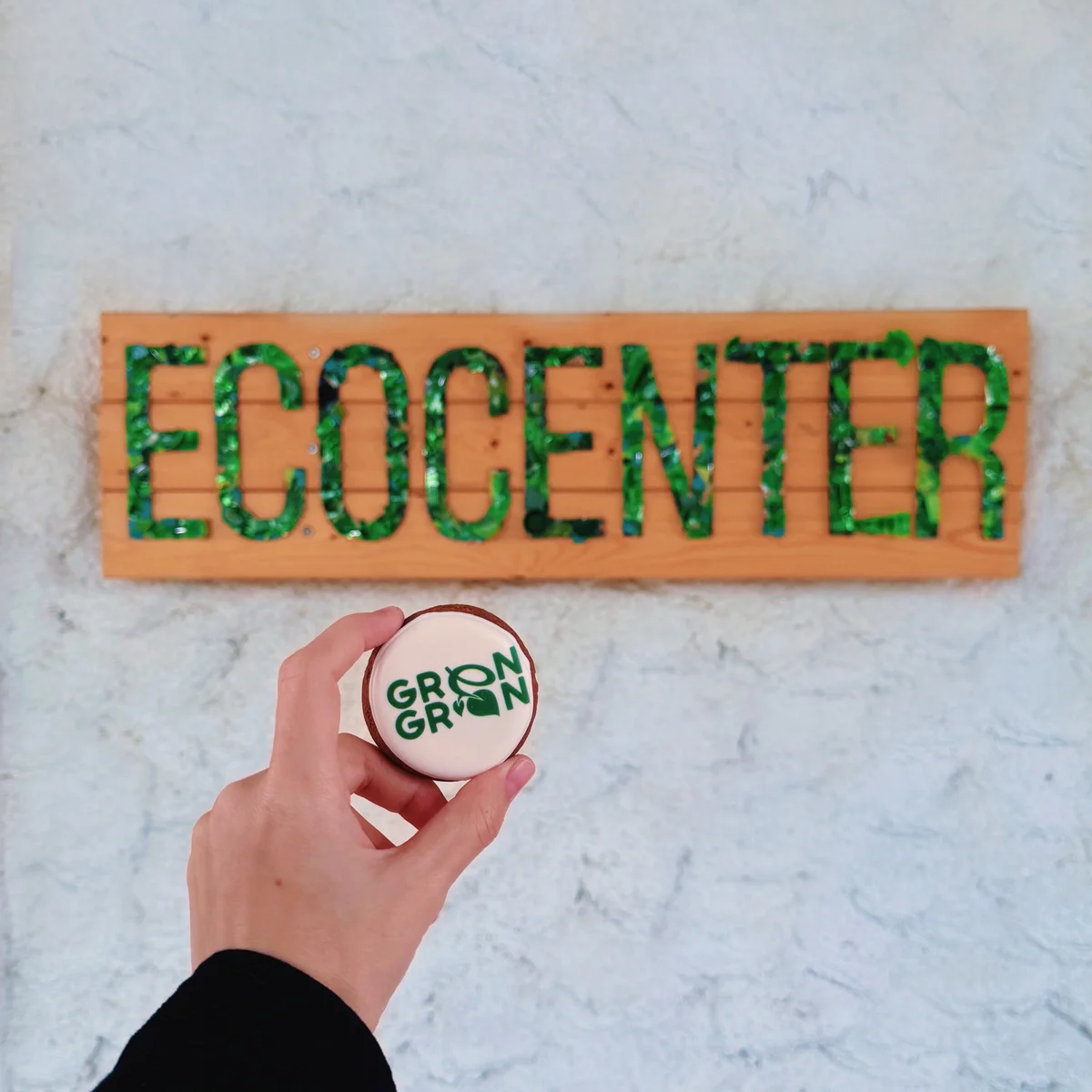 Սևանի ափերի մաքրում Green Green-ի հետ