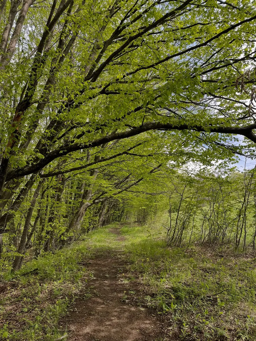 Hike from Lake Parz to Goshavank for Beginners