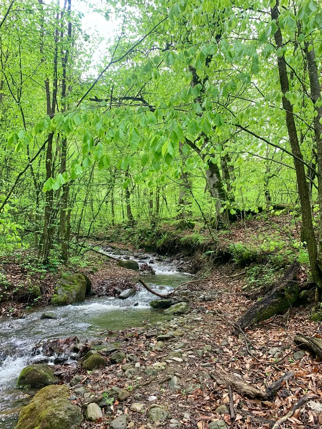 Hike from Lake Parz to Goshavank for Beginners