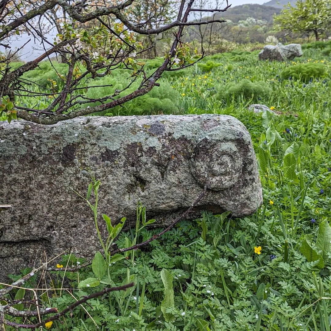 Խոխա արշավ. Բուժականի անտառ և Թեղենյաց վանք