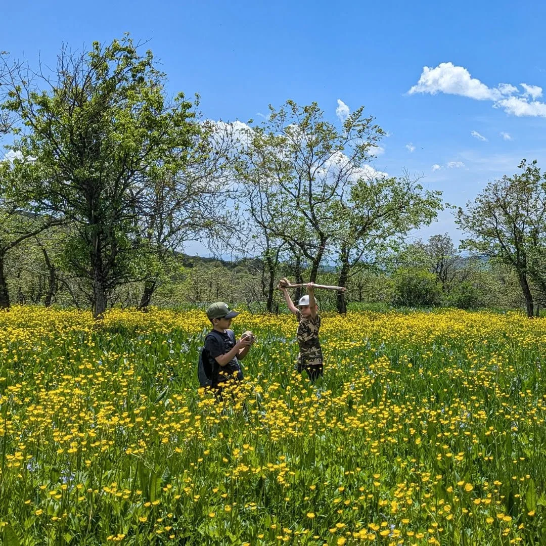 Խոխա արշավ. Բուժականի անտառ և Թեղենյաց վանք