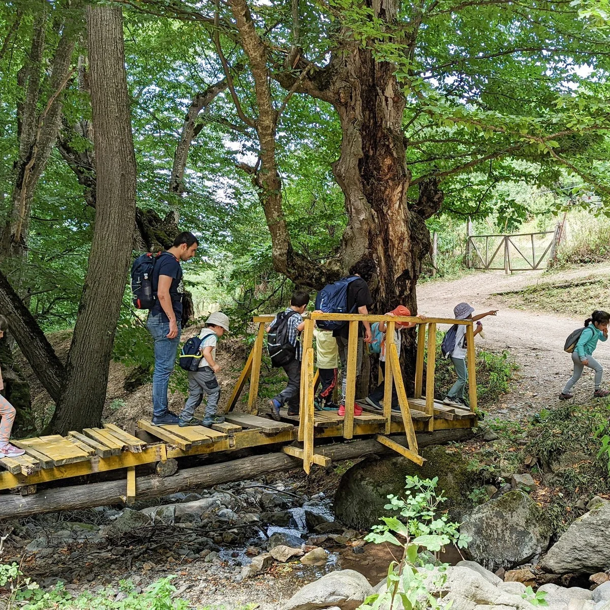 Kids Hike to Aghnabat Yew Grove and Aghavnavank