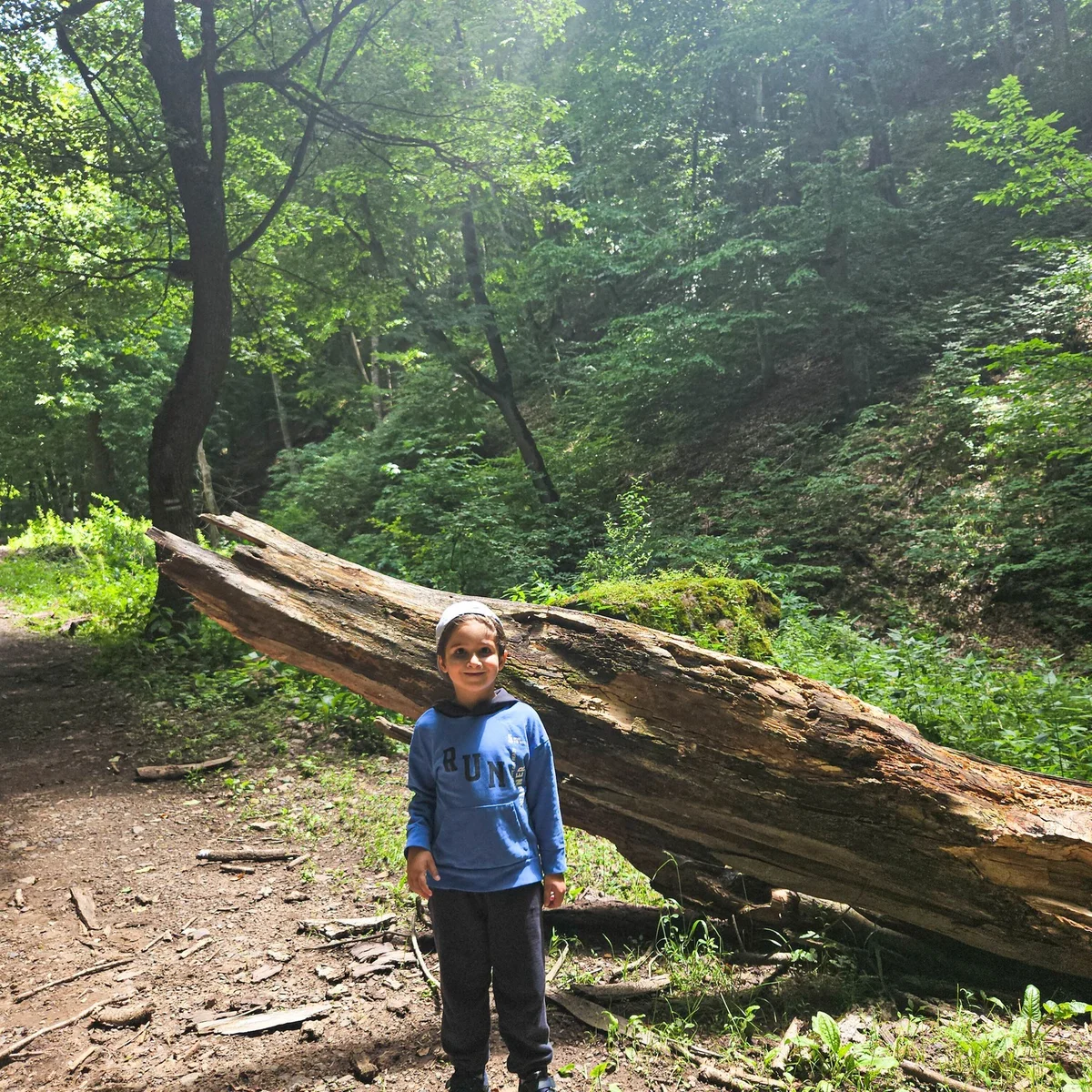 Kids Hike to Aghnabat Yew Grove and Aghavnavank