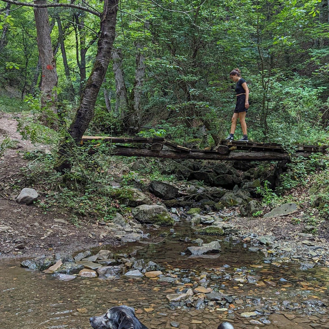 Kids Hike to Aghnabat Yew Grove and Aghavnavank