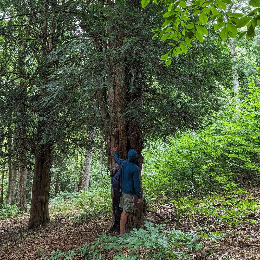 Kids Hike to Aghnabat Yew Grove and Aghavnavank