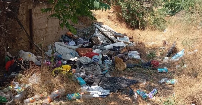 World Cleanup Day во всех районах Еревана