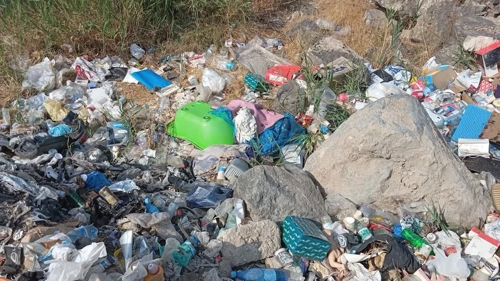 World Cleanup Day во всех районах Еревана