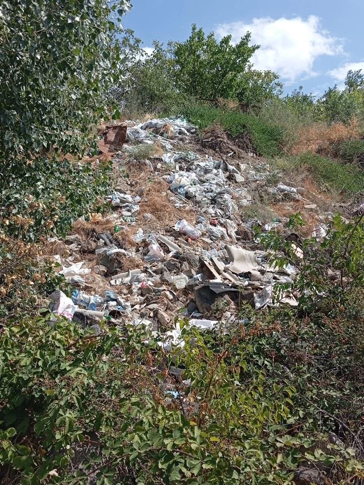 World Cleanup Day во всех районах Еревана