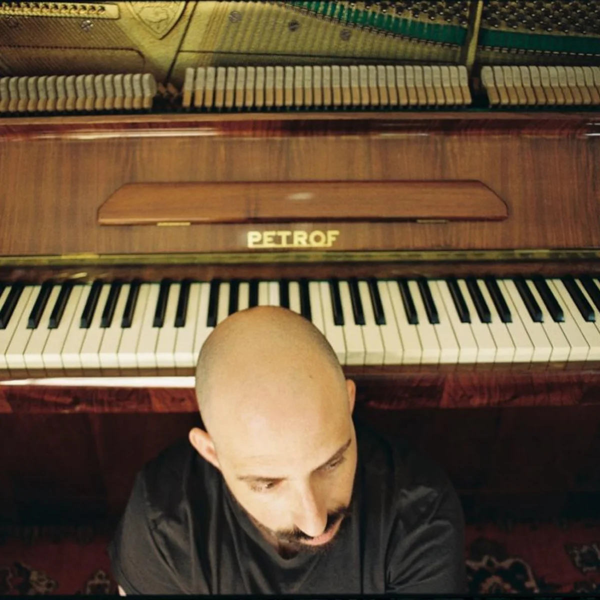 Mesrop Sarkisyan: IN DREAMS