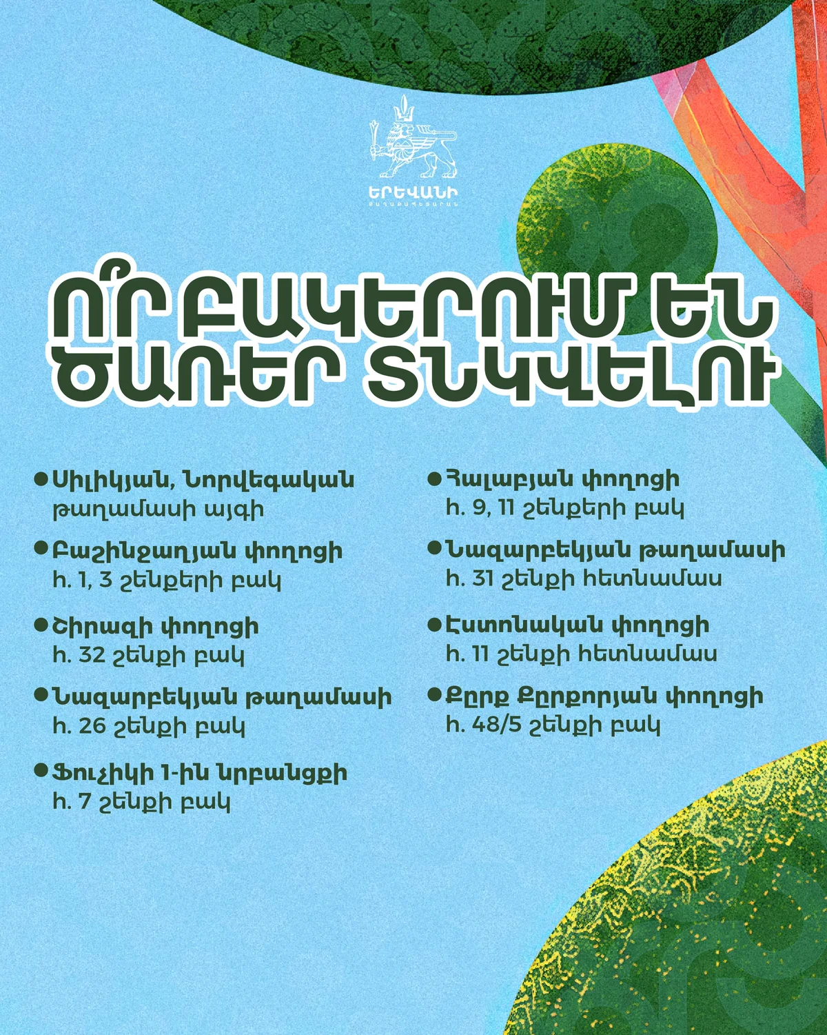 Tree Planting in Ajapnyak