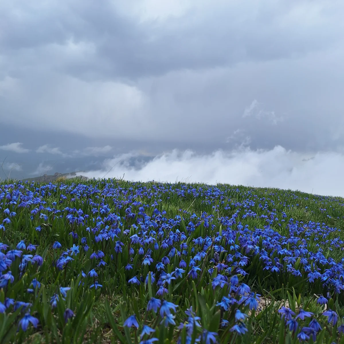 Hiking the Sevordyats Range: Mrdzakar and Eghnakhaghats