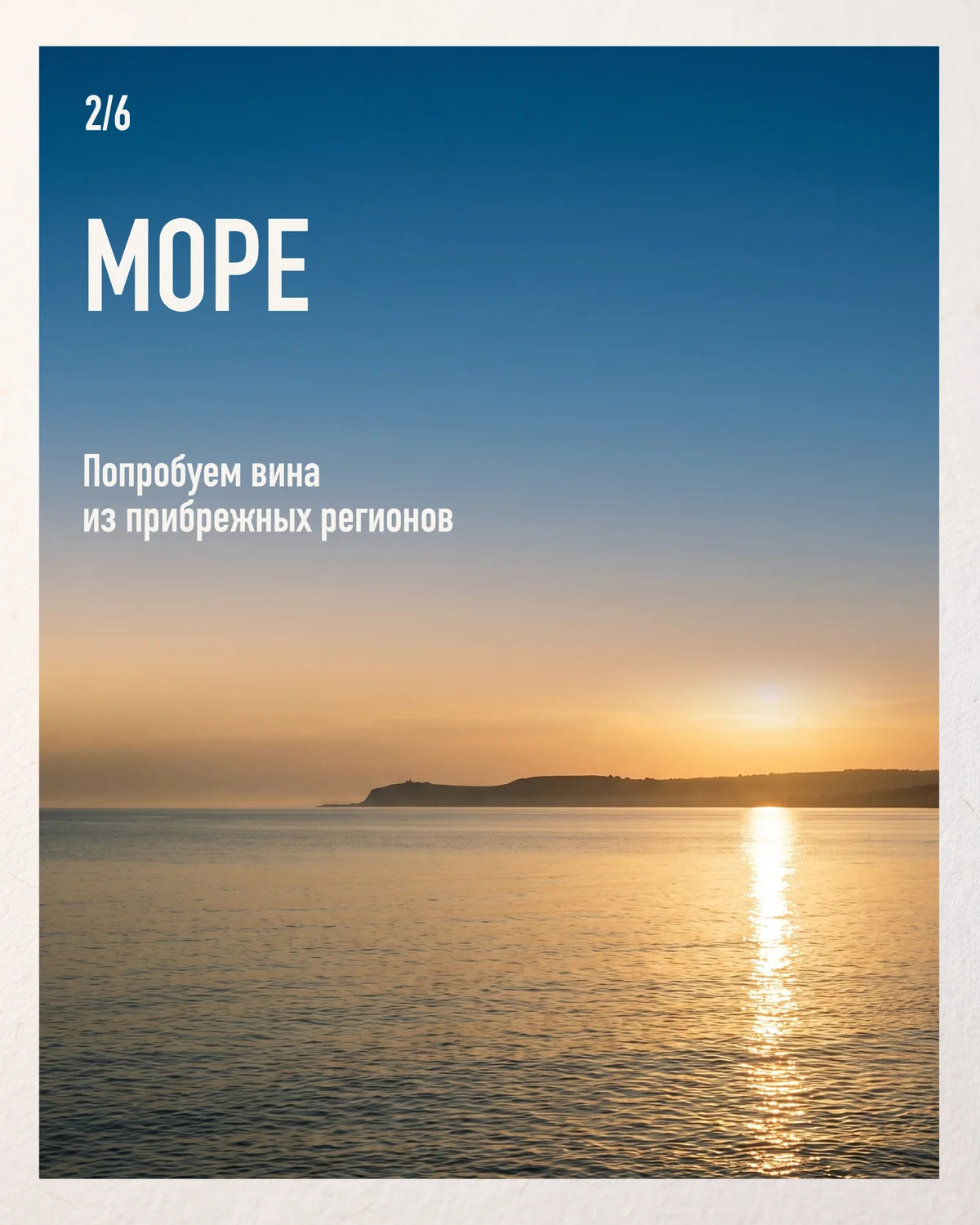 Wine Party: Sea, Mountains and Forests