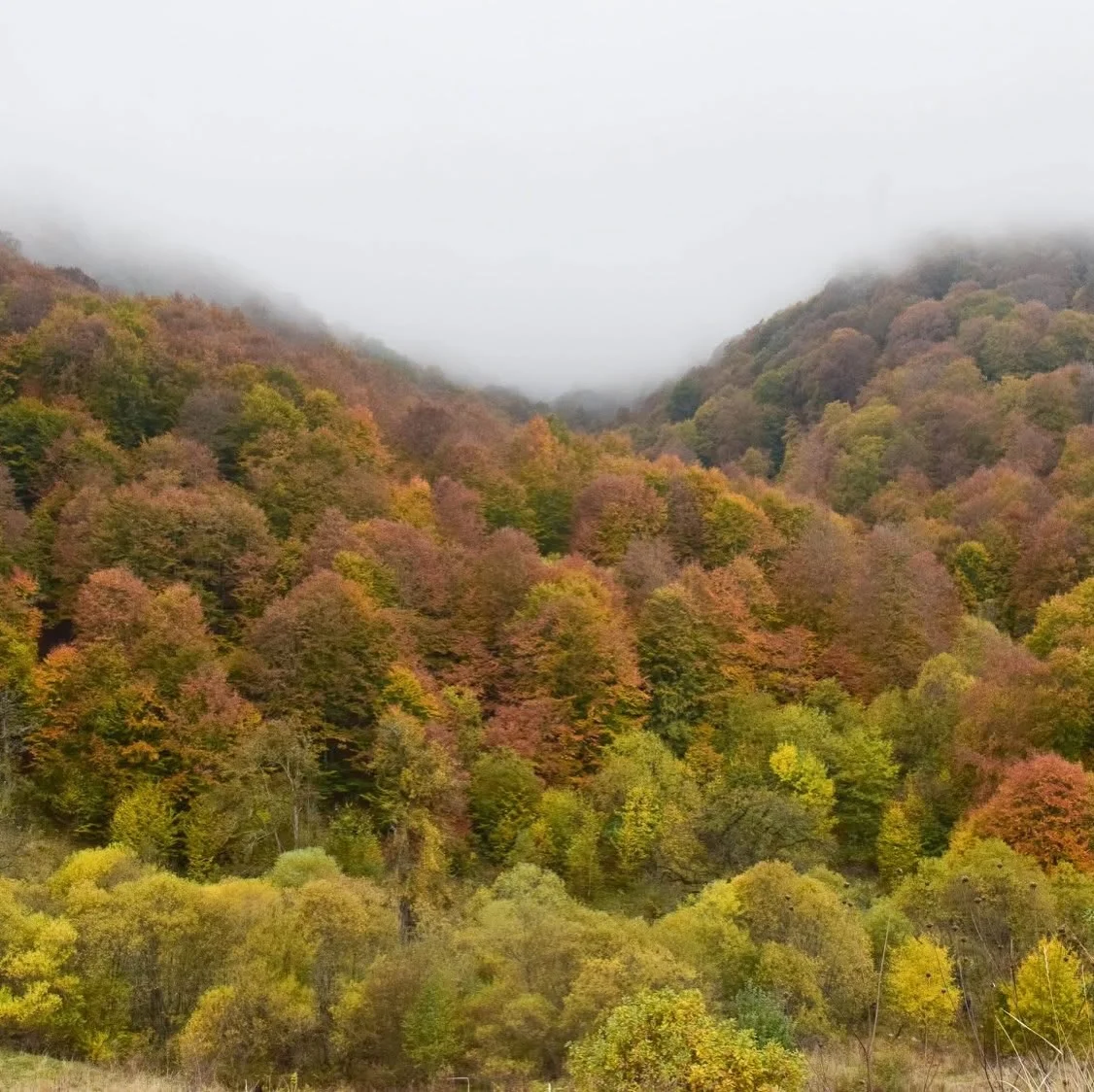 Hiking: Kalavan – Mount Kenatsblur – Barepat