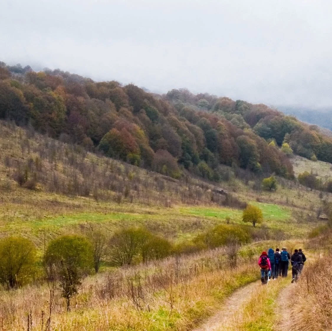 Hiking: Kalavan – Mount Kenatsblur – Barepat