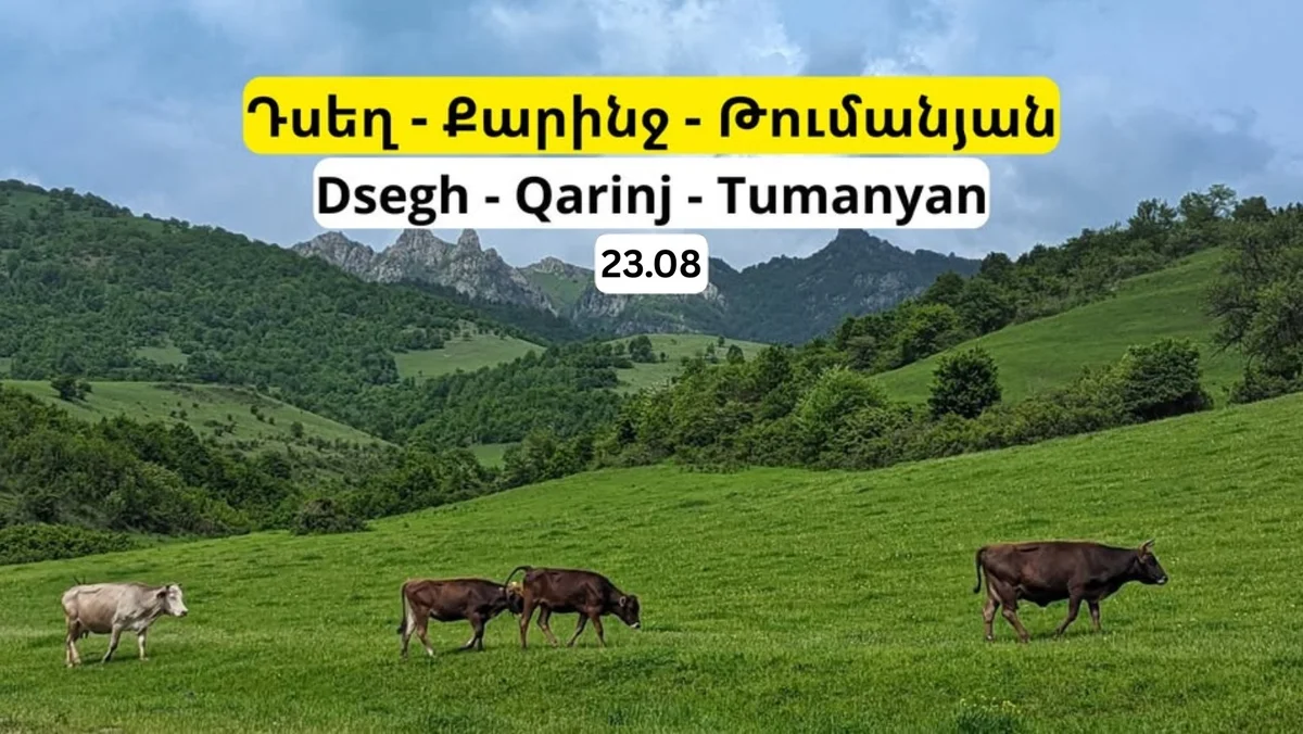 Дсех, Кариндж и город Туманян