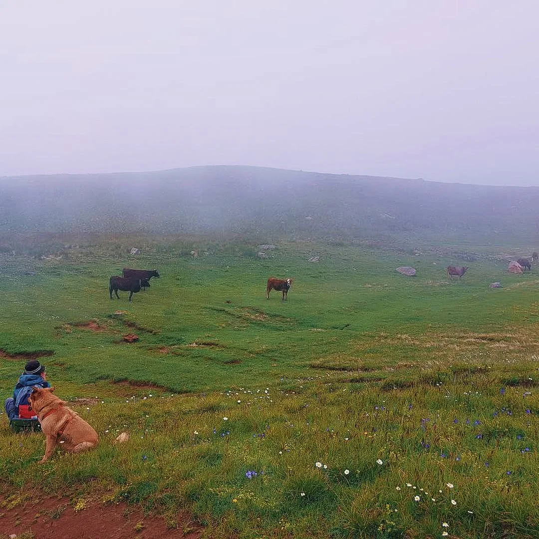 Hiking to Rapi Lake