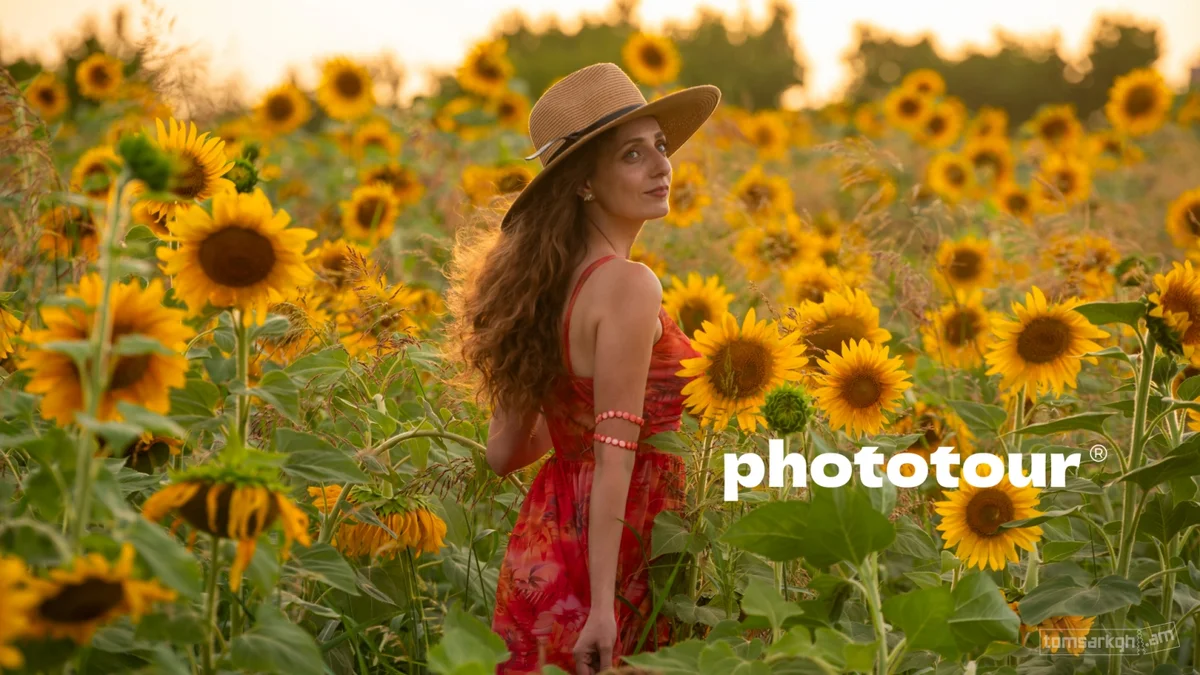 Sunflower Fields Photo Tour