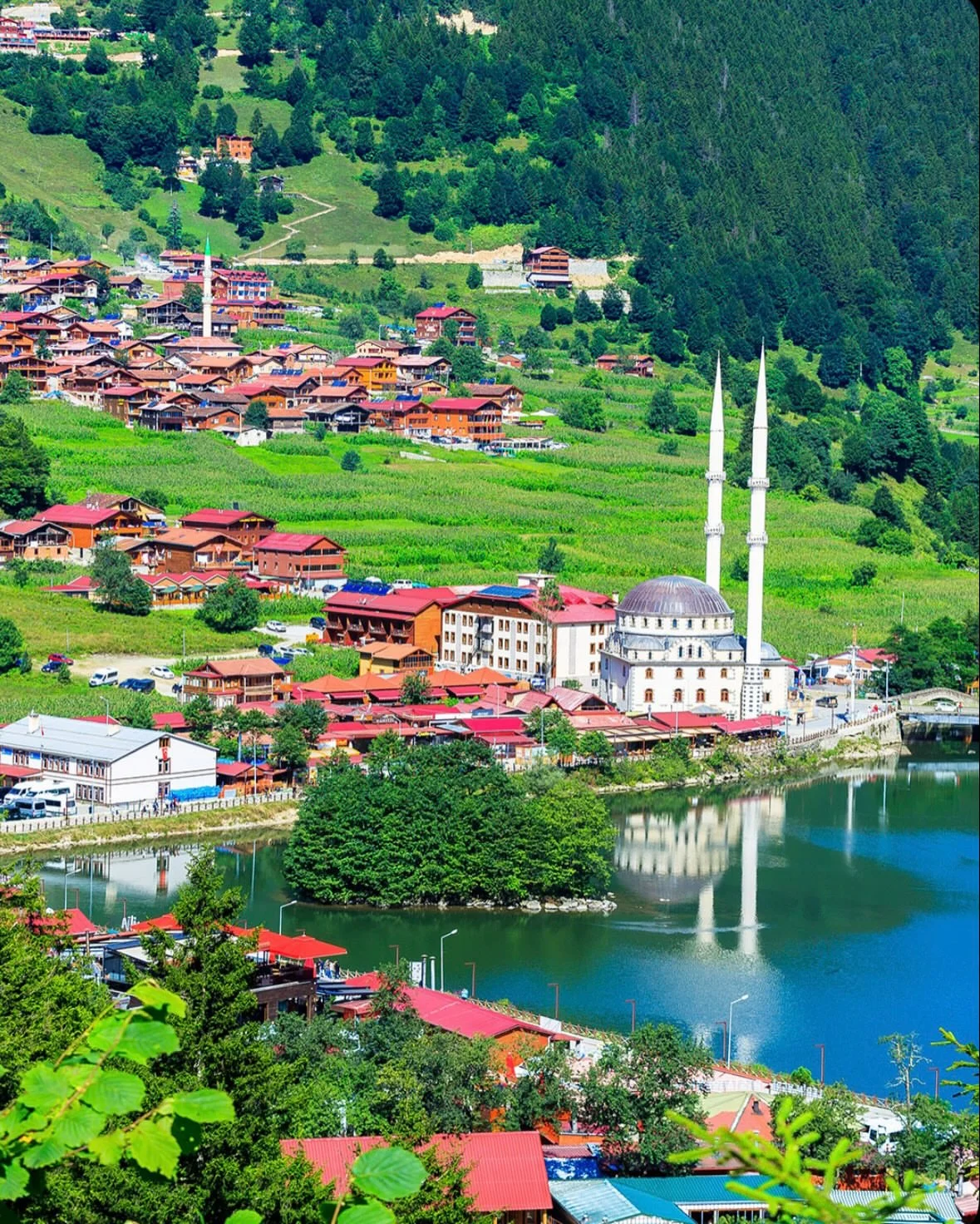 Амшен, Трабзон и Черное море