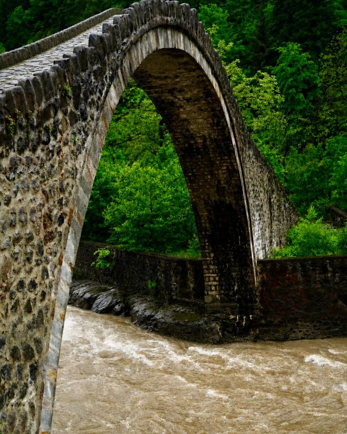 Амшен, Трабзон и Черное море