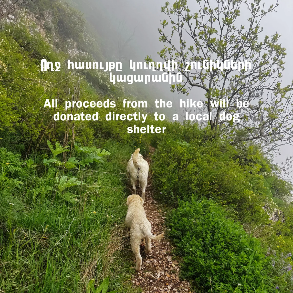 Charity Hike to Mount Apakeqar