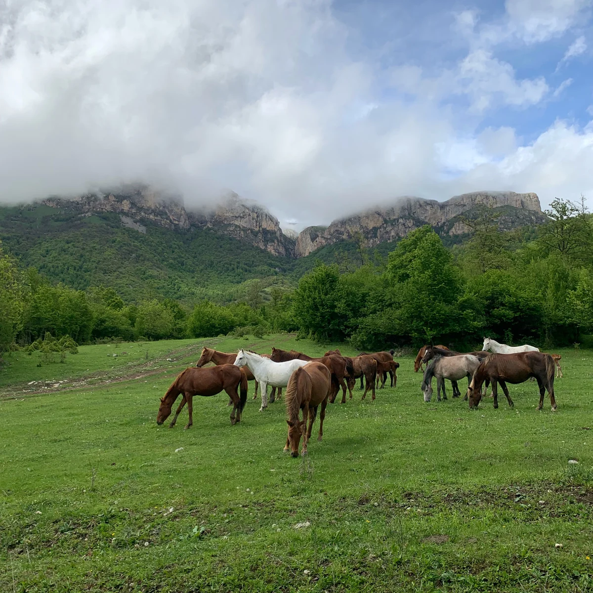 Charity Hike to Mount Apakeqar