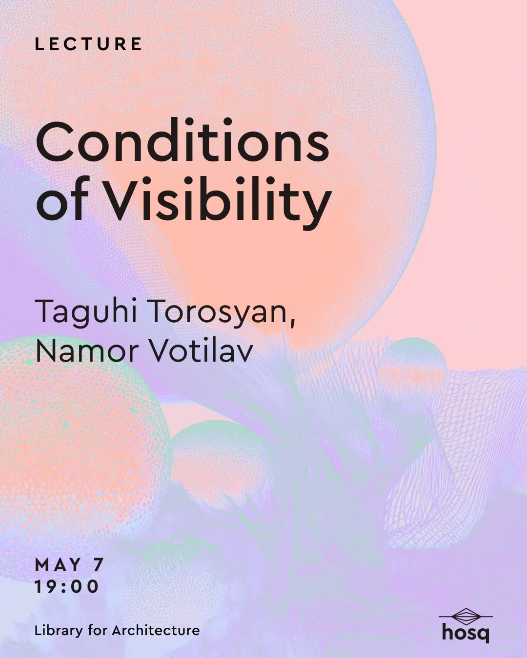 Conditions of Visibility: Taguhi Torosyan and Namor Votilav